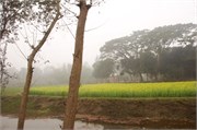 Bangladesh2015_39