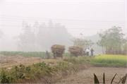 Bangladesh2015_43