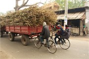 Bangladesh2015_45