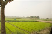 Bangladesh2015_69