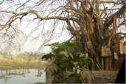 Bangladesh2015_79