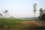 Bangladesh2015_80