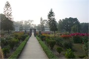 Bangladesh2015_84