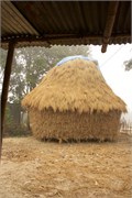 Bangladesh2015_9