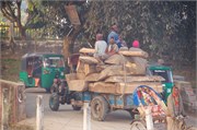Bangladesh2015_98