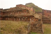Paraphur_37