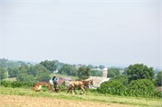 32_Strasburg