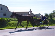 8_Strasburg