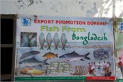 Bangladesh2015a_17