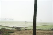 Bangladesh2015a_2