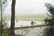 Bangladesh2015a_3