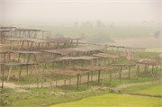 Bangladesh2015a_5