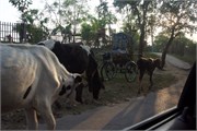 Bangladesh2015a_77