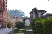 Puthia2015_38