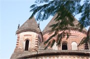 Puthia2015_44