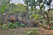 Puthia2015_69