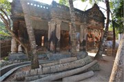 Puthia2015_82