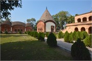 Puthia2015_84