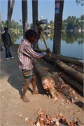 Puthia2015_95