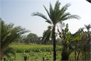 Bangladesh2015c_24