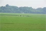 Bangladesh2015c_30