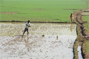 Bangladesh2015c_31