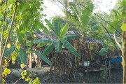 Bangladesh2015d_9