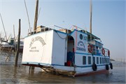 Sundarbans2015_1