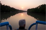 Sundarbans2015_42