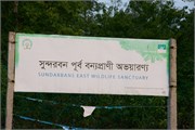Sundarbans2015a_1