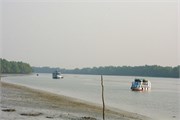 Sundarbans2015a_14