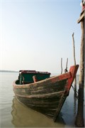 Sundarbans2015a_16