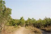 Sundarbans2015a_25