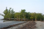 Sundarbans2015a_3