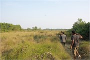 Sundarbans2015a_46