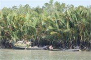 Sundarbans2015a_56