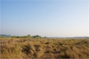 Sundarbans2015b_30