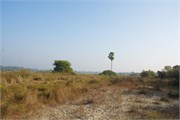 Sundarbans2015b_37