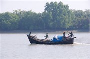 Sundarbans2015b_56