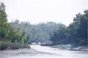 Sundarbans2015b_57