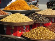 Dhaka-Savar01282015_11