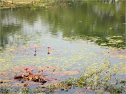 Dhaka-Savar01282015_12