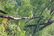 Bangladesh2015_100
