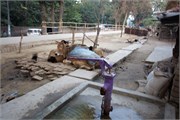 Bangladesh2015_18