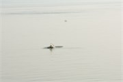 Bangladesh2015_21
