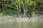 Bangladesh2015_23