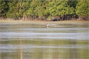 Bangladesh2015_25