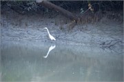 Bangladesh2015_34