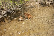 Bangladesh2015_46