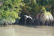 Bangladesh2015_56